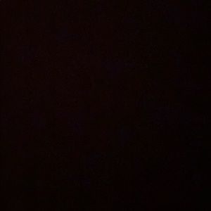 Meet your Posher, Arianna